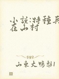 小说:特种兵王在山村