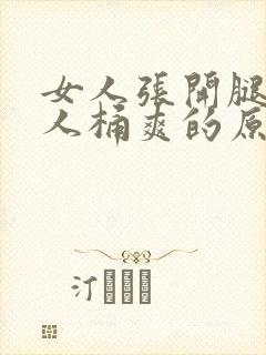 女人张开腿让男人桶爽的原文