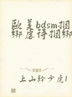 欧美bdsm捆绑虐待捆绑调教奴隶