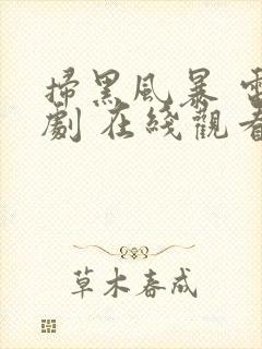 扫黑风暴 电视剧 在线观看