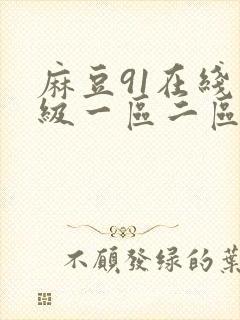 麻豆91在线一级一区二区精品观看封面