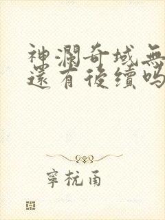 神澜奇域无双珠还有后续吗