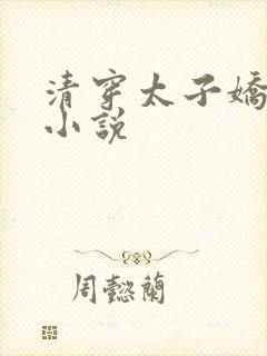 清穿太子娇妃的小说