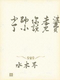 少帅你老婆又跑了小说免费