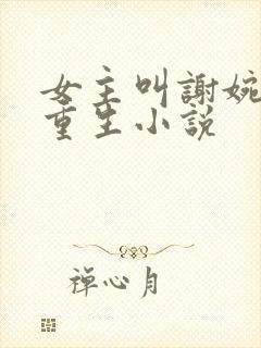 女主叫谢婉宁的重生小说