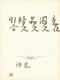 91精品国产综合久久久在线