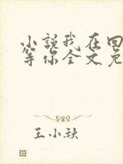 小说我在回忆里等你全文免费阅读封面