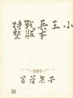 特战兵王小说完整版本