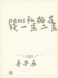 pans私拍在线一区二区