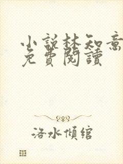 小说林知意宫沉免费阅读