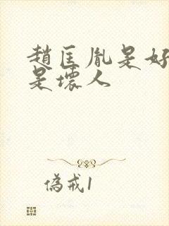 赵匡胤是好人还是坏人