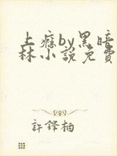 上瘾by黑暗森林小说免费