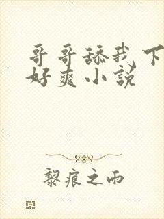 哥哥舔我下面,好爽小说封面