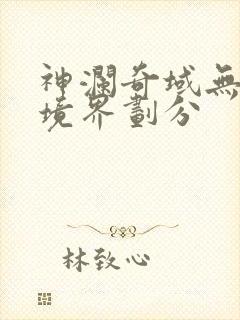 神澜奇域无双珠境界划分封面