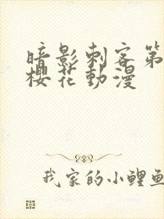 暗影刺客第五季樱花动漫