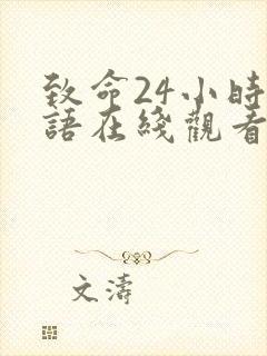致命24小时国语在线观看高清