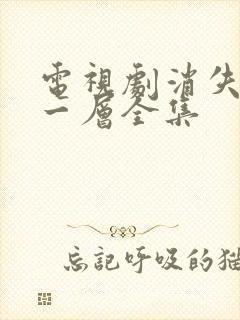 电视剧消失的十一层全集封面