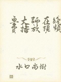 鲁大师在线看免费播放视频电视剧封面