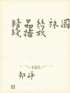 精品丝袜国产在线播放封面