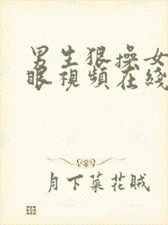 男生狠操女生屁眼视频在线播放