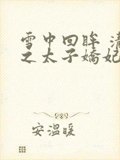 雪中回眸 清穿之太子娇妃封面