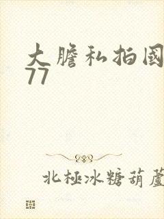 大胆私拍国模377封面