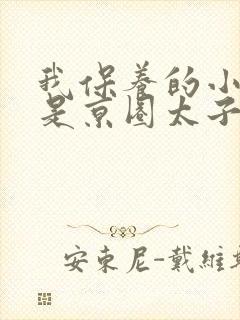 我保养的小白脸是京圈太子爷小说