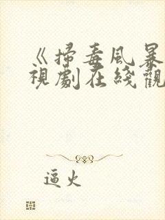 《扫毒风暴》电视剧在线观看高清