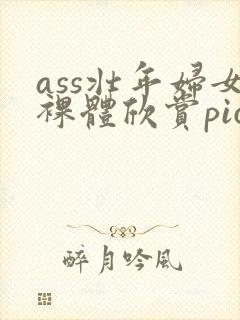 ass壮年妇女裸体欣赏pics封面
