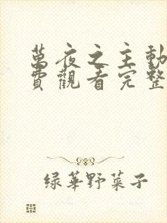 万夜之主动漫免费观看完整版
