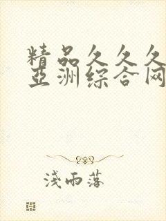 精品久久久久久亚洲综合网站