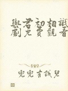 与君初相识电视剧免费观看高清