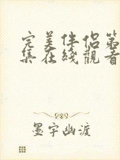 完美伴侣第46集在线观看