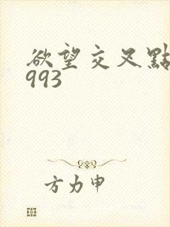 欲望交叉点》1993封面