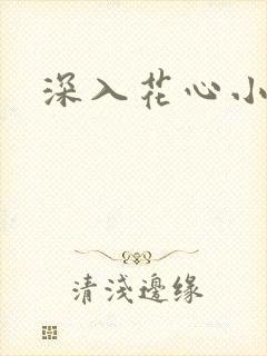 深入花心小说封面