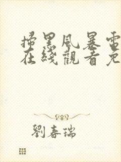 扫黑风暴电视剧在线观看免费完