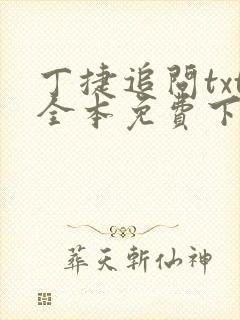 丁捷追问txt全本免费下载