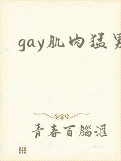 gay肌肉猛男