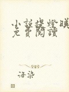 小说提灯映桃花免费阅读