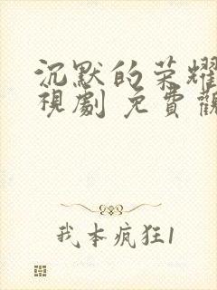 沉默的荣耀 电视剧 免费观看