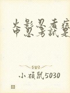 火影忍者疾风传中忍考试是第几集