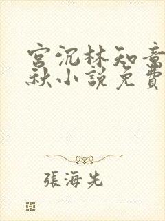 宫沉林知意宋婉秋小说免费阅读
