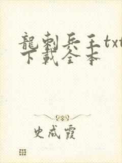 龙刺兵王txt下载全本