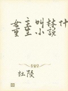 女主叫林什么的重生小说