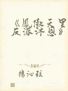 《凤傲天里黄毛反派沐恩》封面