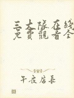 三大队在线播放免费观看全集电视剧