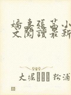 娇妻张茜小说全文阅读最新章节更新