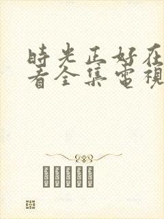 时光正好在线观看全集电视剧免费