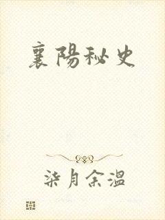 襄阳秘史