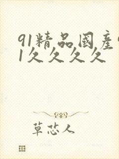 91精品国产91久久久久